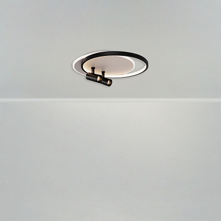 Потолочный светильник Freya FR6083CL-L106WB - фото