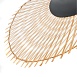 Подвесной светильник Arte Lamp WOODSTOCK A7063SP-1BK - фото