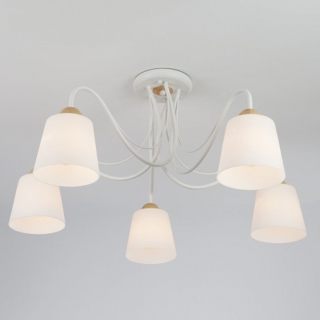 Потолочный светильник Eurosvet 70062/5 белый - фото