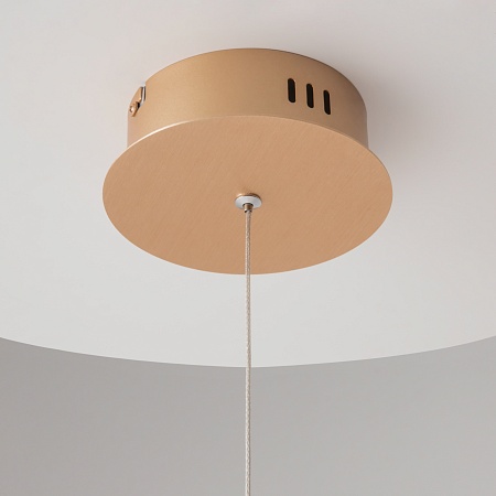 Подвесной светильник Maytoni Chain MOD017PL-L13G - фото