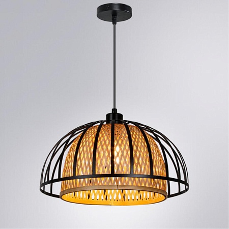 Подвесной светильник Arte Lamp WOODSTOCK A7071SP-1BK - фото