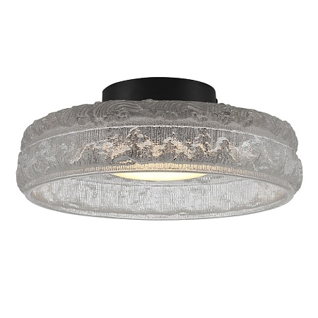 Светильник потолочный ST-Luce черный/прозрачный LED 1*15W 4000K SL6143.402.01 - фото