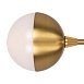 Потолочный светильник Freya Celebrity FR5242CL-16BS - фото