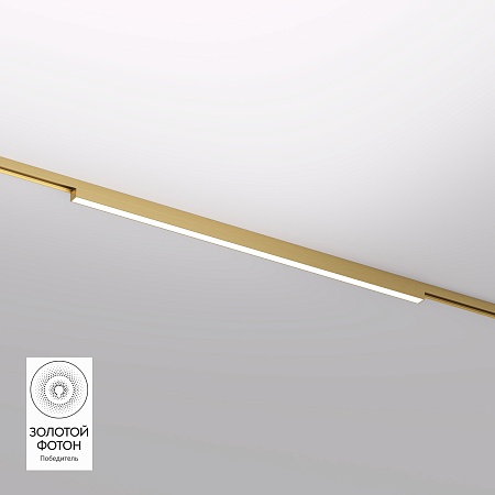 Светильник на шине Denkirs SHINE LINEAR DK5752-SB - фото