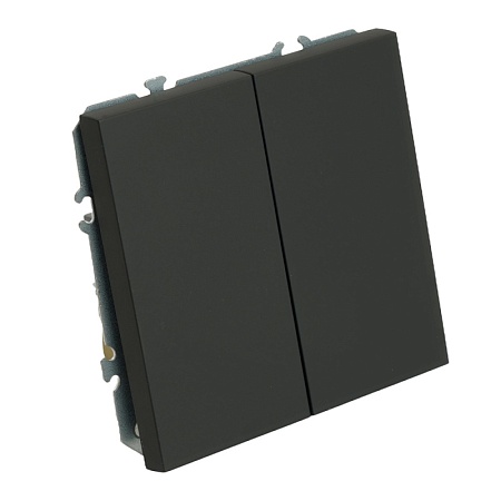 Переключатель 2-клавишный (механизм), STEKKER, 250В, 10А, серия Эмили, RSW10-5107-05, черный уголь, soft touch - фото