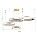 Люстра подвесная ST-Luce Латунь/Прозрачный LED 1*190W 4000K SL1622.303.04 - фото
