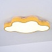 Потолочный Светильник Cloud Eco D63 Yellow Imperiumloft 189510-26 - фото