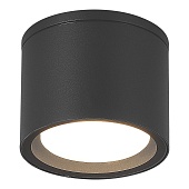 Светильник уличный потолочный ST-Luce серый/белый GX53 1*9W SL9006.702.01