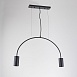 Подвесной Светильник Arc 2 Black Imperiumloft 189568-26 - фото