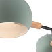 Потолочный светильник Freya Trisha FR5032CL-03B - фото