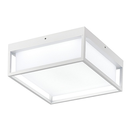 Светильник уличный потолочный ST-Luce белый/белый LED 1*20W 3000K/4000K/5000K SL9517.502.01 - фото