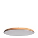 10119 Orange Подвесной светильник LOFT IT Plato - фото