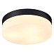 Потолочный светильник Arte Lamp AQUA-TABLET A6047PL-3BK - фото