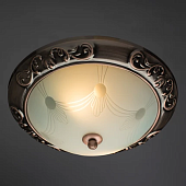 Потолочный светильник Arte Lamp ALTA A3014PL-2AC