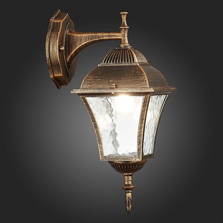 Светильник уличный настенный ST-Luce Бронза/Бронза, Прозрачный E27 1*60W SL082.211.01 - фото