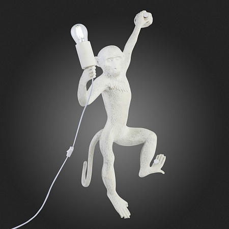 Светильник настенный Белый E27 1*60W SLE115111-01 - фото