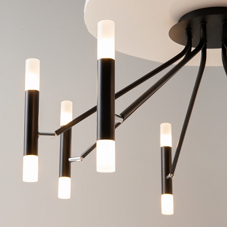 Потолочный светильник Maytoni Vigo MOD620CL-16B - фото