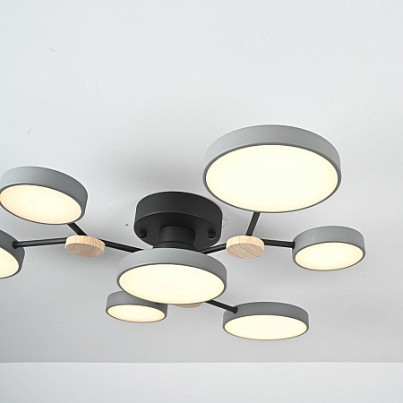 Потолочная Люстра Gamma D88 Grey Imperiumloft 223765-23 - фото