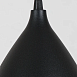 Подвесной светильник Arte Lamp LARK A7075SP-1BK - фото