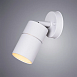 Уличный настенный светильник Arte Lamp MISTERO A3304AL-1WH - фото