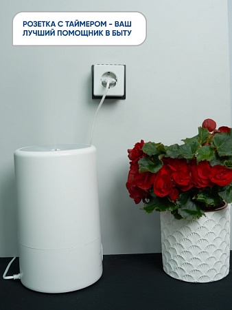 Розетка с таймером Feron TM21 недельная электронная мощность 3500W/16A - фото