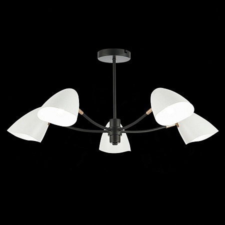 Светильник потолочный Черный, Золотой/Белый E14 5*40W SLE103602-05 - фото