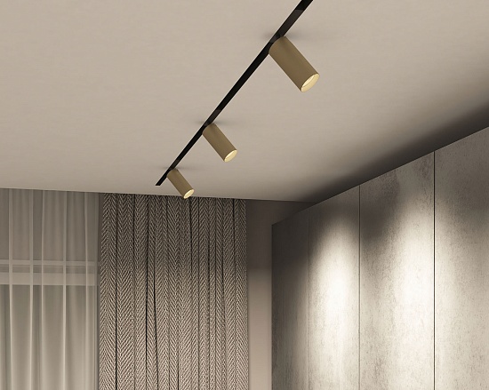 Светильник на шине Denkirs SMART SPOT DK8020-BG - фото