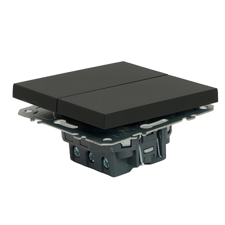 Переключатель 2-клавишный (механизм), STEKKER, 250В, 10А, серия Эмили, RSW10-5107-05, черный уголь, soft touch - фото