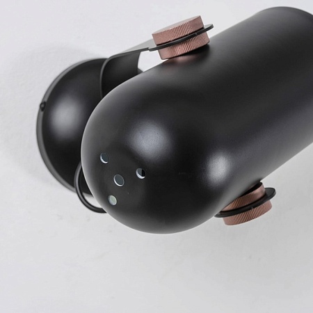 Бра Favourite 2007-1W - фото