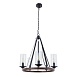 Подвесная люстра Arte Lamp DALIM A7014SP-5BK - фото