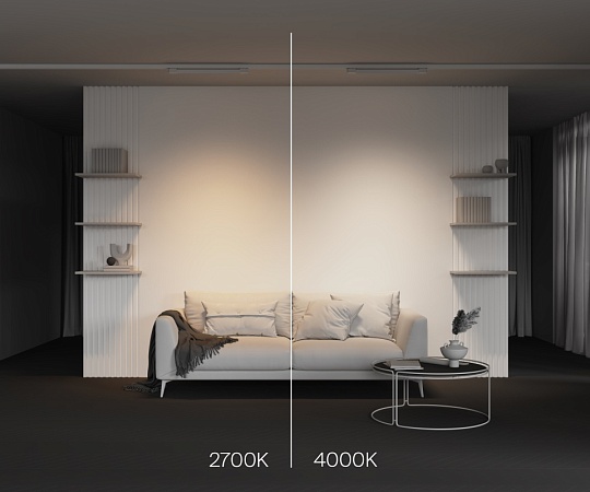 Трековый светильник Technical BASIS TR196-3-20W4K-W - фото