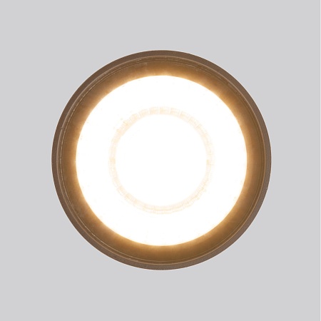 Уличный потолочный светильник Light LED 2105 IP54 35132/H черный Elektrostandard - фото