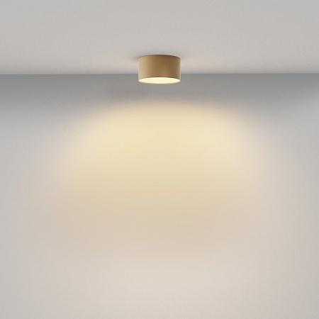 Потолочный светильник Technical Zon C032CL-12W2.7K-RD-MG - фото