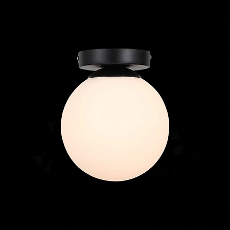 Светильник настенный Черный/Белый E27 1*40W SL717.401.01 - фото