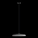 10119 Grey Подвесной светильник LOFT IT Plato - фото