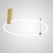 Потолочный Светильник Ringmor D60 D80 R2 Imperiumloft 207983-23 - фото