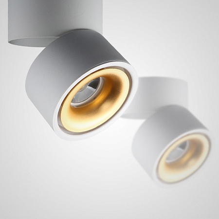 Потолочный Светильник Agenda White+Gold 10W Imperiumloft 191836-26 - фото