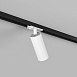 Светильник на шине Denkirs Scope DK6060-BW+BK - фото