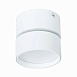Светильник потолочный поворотный Белый LED 1*9W 3000K 720Lm Ra>90 120° IP20 D85xH87 170 ST651.532.09 - фото