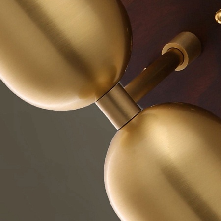 Настенный Светильник Chris A Brass Imperiumloft 209122-23 - фото
