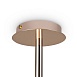 Потолочный светильник Freya Mineral FR1010CL-08G - фото