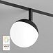 Светильник на шине Denkirs SMART MOON DK8055-BK - фото