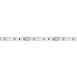 Светодиодная LED лента Feron LS603, 60SMD(2835)/m 4.8W/m 12V 5m синий - фото