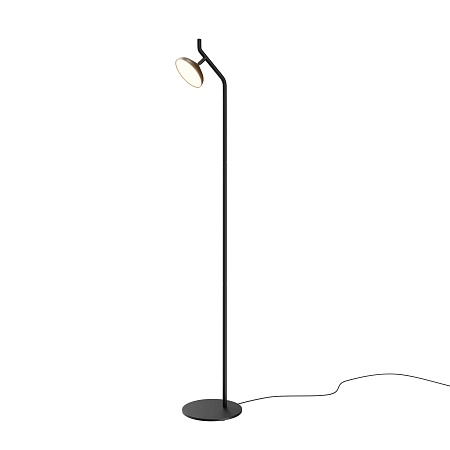 Напольный светильник (торшер) Maytoni MOD451FL-L8B3K - фото