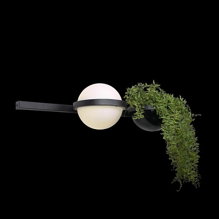 10121W/A Настенный светильник LOFT IT Jardin - фото