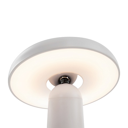 Аккумуляторный светильник Freya FR6109TL-L4W - фото