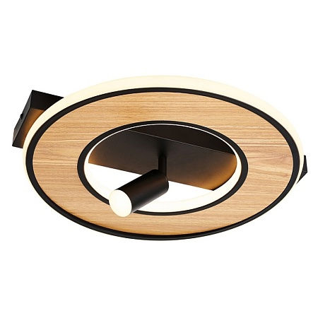 Потолочный светильник F-Promo 4438-2C - фото