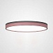 Потолочный Светильник Kier D60 Pink Imperiumloft 181031-26 - фото