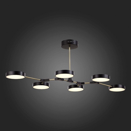 Светильник потолочный Черный, Латунь/Черный LED 6*10W SLE6004-402-06 - фото