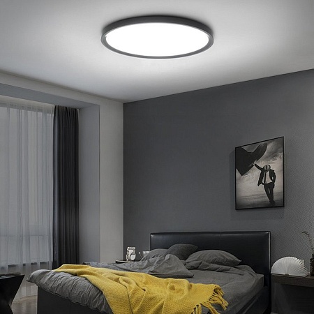 Потолочный Светильник Extraslim D50 Black Imperiumloft 212740-26 - фото